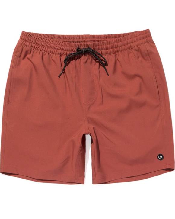 Outerknown Nomadic Volley Recycled Polyester Swim Shorts, Faded Red